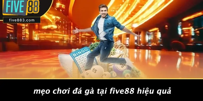 Mẹo Chơi Đá Gà Tại FIVE88 Hiệu Quả